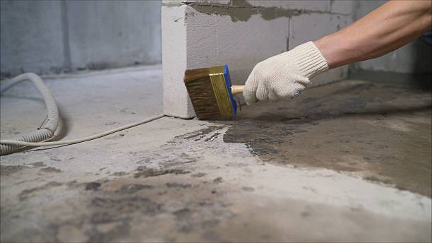 24/7 Emergency Interior Drainage System experts in Byron, MI